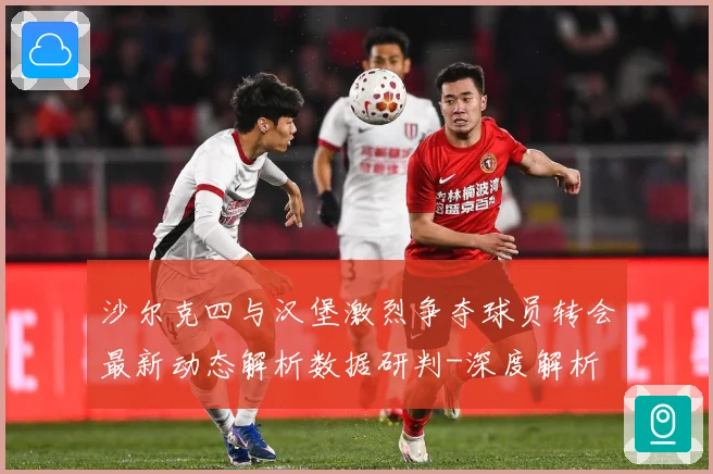 沙尔克四与汉堡激烈争夺球员转会最新动态解析数据研判-深度解析