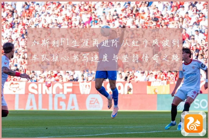 加斯利F1生涯再进阶从红牛风波到车队核心书写速度与坚持传奇之路解析-深度解析