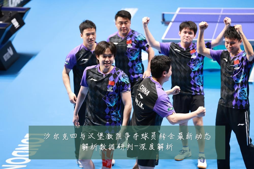 沙尔克四与汉堡激烈争夺球员转会最新动态解析数据研判-深度解析